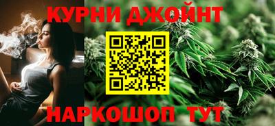 прущие грибы Новозыбков