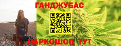прущие грибы Новозыбков