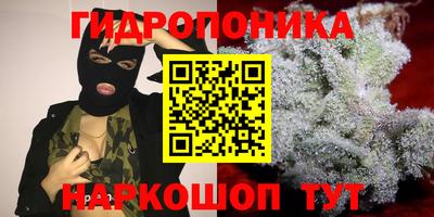 прущие грибы Новозыбков