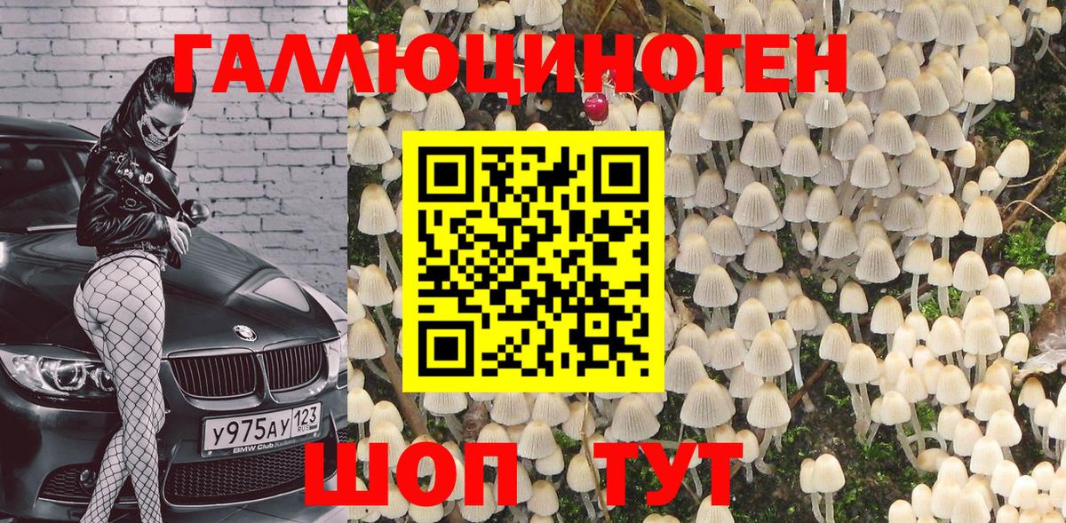 Тольятти  Галлюциногенные грибы прущие грибы  Вход с VPN 